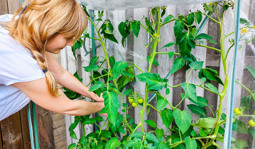 terapeutish effect van tuinieren