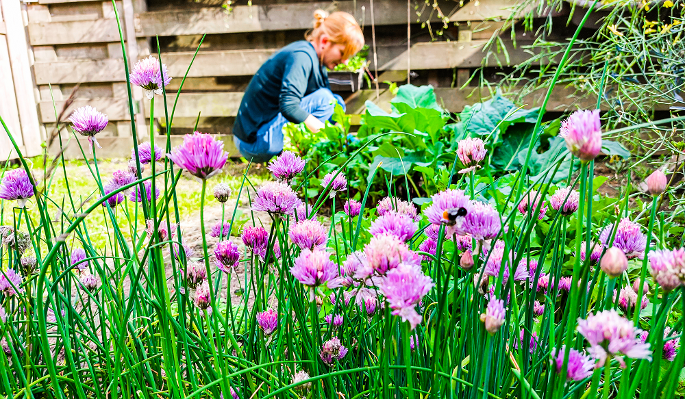 tuinieren geeft je voldoening